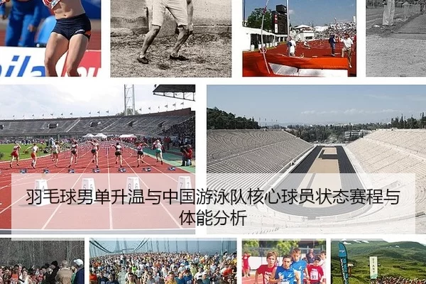 yu-mao-qiu-nan-dan-sheng-wen-yu-zhong-guo-you-yong-dui-he-xin-qiu-yuan-zhuang-tai-sai-cheng-yu-ti-neng-fen-xi-1-142.jpg